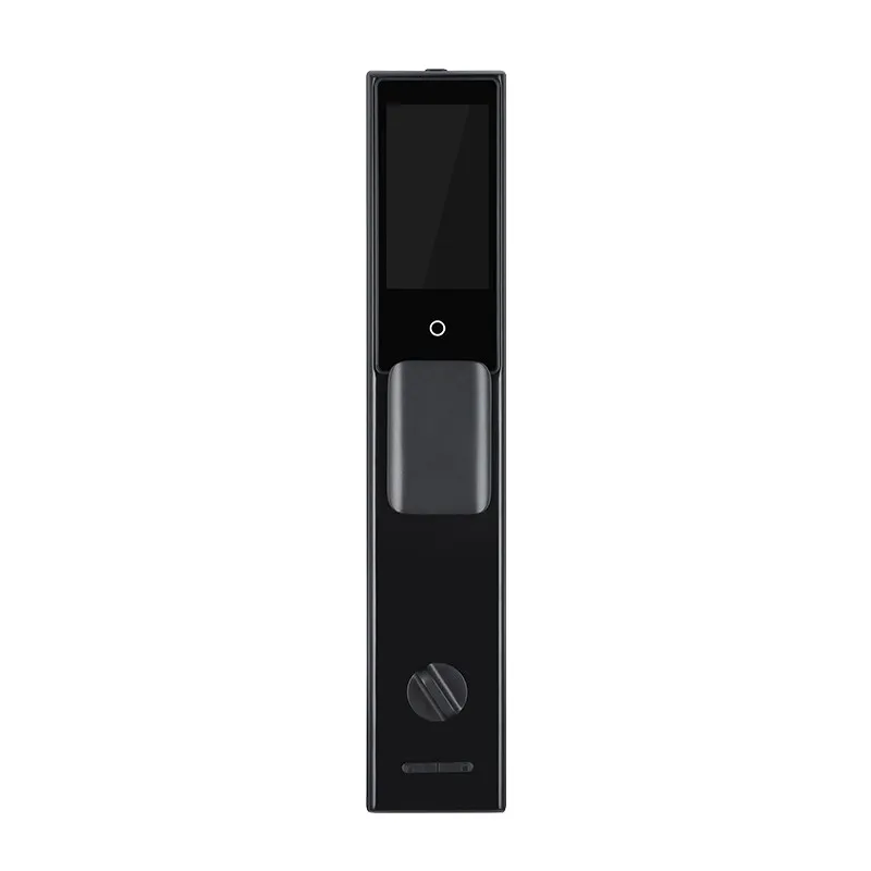 biometric face recognition door lock